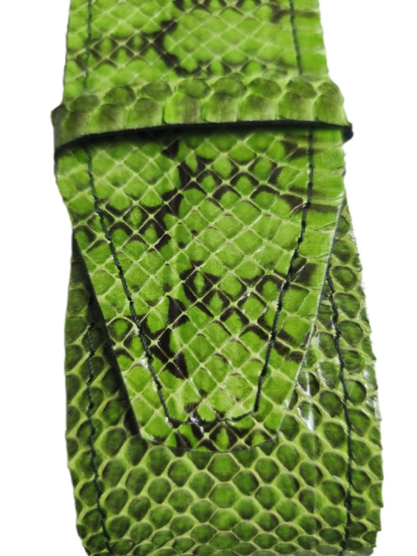 Φιδινη ζώνη από νερόφιδο σε λαχανί