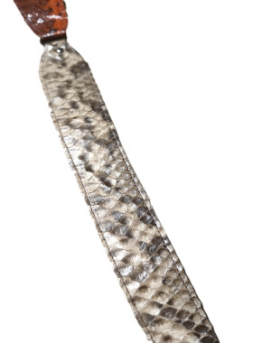 Φίδι πυθωνας, μπεζ και πορτοκαλί