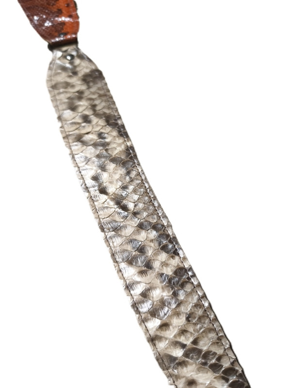 Φίδι πυθωνας, μπεζ και πορτοκαλί