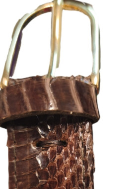 Φίδινη ζώνη από νερόφιδο σε καφέ