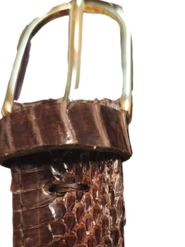 Φίδινη ζώνη από νερόφιδο σε καφέ