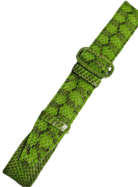 Φιδινη ζώνη από νερόφιδο σε λαχανί