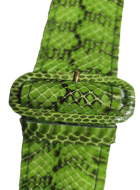 Φιδινη ζώνη από νερόφιδο σε λαχανί