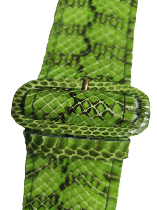 Φιδινη ζώνη από νερόφιδο σε λαχανί