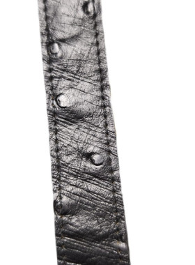 Ζώνη από αυθεντικό πουλί Στρουθοκαμήλου (ostrich belt)