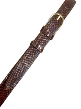 Φίδινη ζώνη από νερόφιδο σε καφέ