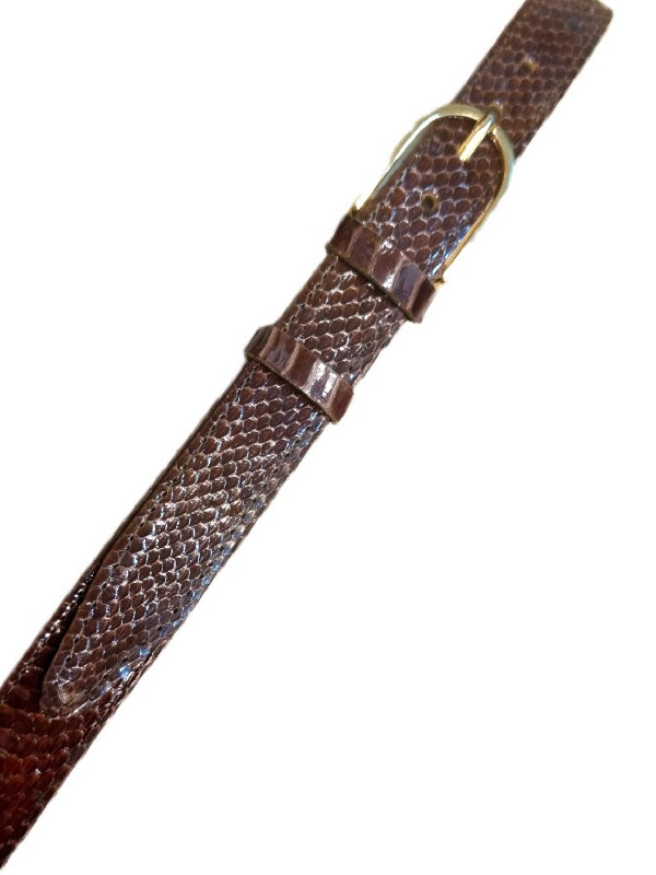 Φίδινη ζώνη από νερόφιδο σε καφέ